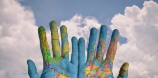 Co zrobić z ziemią po pomidorach?