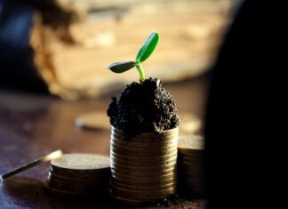 Czy dywidenda jest dochodem?