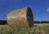 Ile kosztuje balot słomy 120x120?