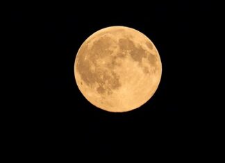 Jakie smaki do bimbru?