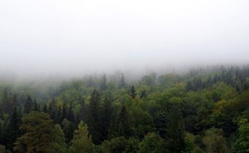 Jak zasłonić się na tarasie?