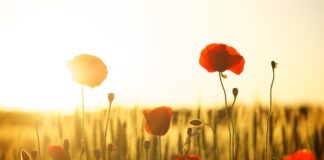 Ile waży łyżeczka mąki?