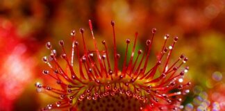 Ile łyżek to 40 ml?