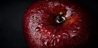 Gdzie kupić mocny magnes?